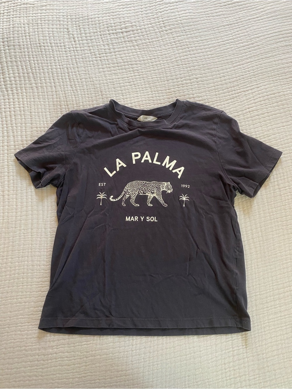 H&M Dark Navy Crew Neck Tee